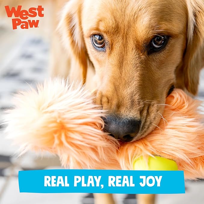 WEST PAW Rowdies Rolf Durable Plush Dog Toy with HardyTex Reinforced Seams Engaging Squeaker with Soft Cuddly Exterior Hand Sewn and Finished in Bozeman Montana for Dogs - Seafoam