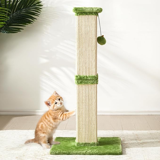 Indoor Cat Scratching Post: 32 In Tall Cat Scratcher with Natural Sisal Rope, Kitty Pet Tower with Sturdy Wood Base and Hanging Ball Toy, Great Gift for Small and Large kittens, LIght Green