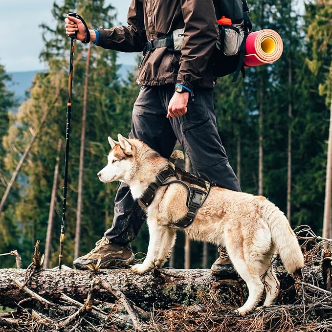 WINGOIN Tactical Dog Harness for Small Dogs, Heavy Duty No Pull Harness with Handle, Adjustable Reflective Military K9 Service Pet Vest for French Bulldog, Pug, Walking, Hunting, Camo (S)