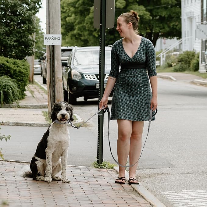 Fida 6 FT Heavy Duty Dog Leash with 2 Comfortable Padded Handles, Traffic Handle & Advanced Easy Snap Hook, Reflective Walking Lead for Large, Medium & Small Breed Dogs, Grey