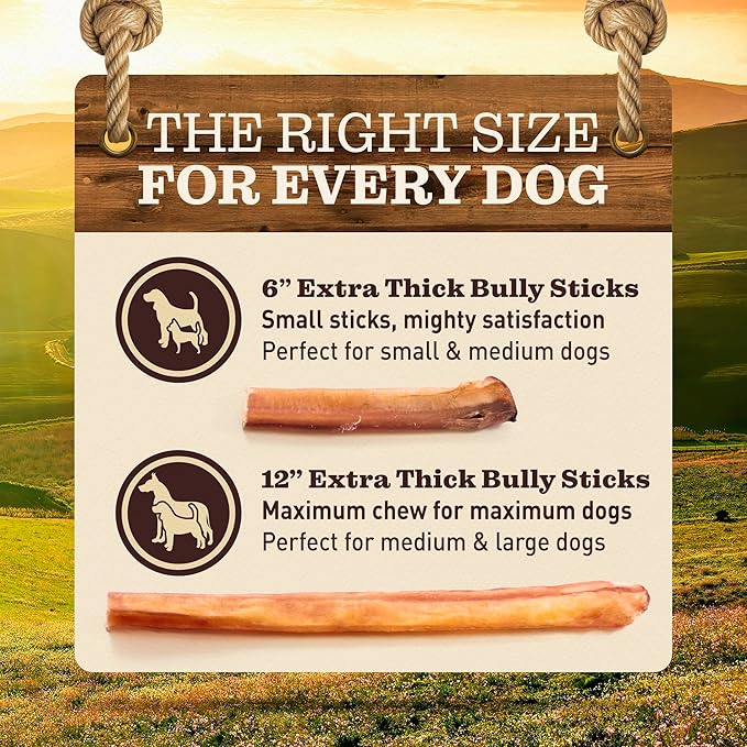Pet Odor-Free Extra Thick Jumbo Bully Sticks for Large Dogs (6", 10 Pack) – All-Natural, Long-Lasting Dog Chews Made from 100% Grass-Fed Beef, High-Protein & Grain-Free.