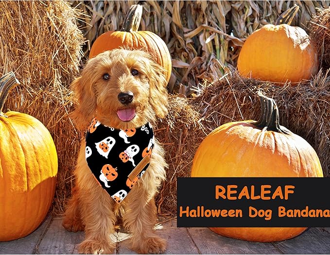 Realeaf Halloween Dog Bandanas 2 Pack, Reversible Orange Pumpkin Pet Scarf for Boy and Girl, Premium Durable Fabric, Holiday Bandana for Small Medium Large and Extra Large Dogs (Small)