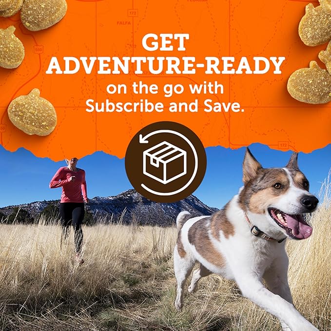 Zuke's Mini Naturals Dog Training Treats for Dogs, Pet Treats made with Real Chicken - 10 oz. Pouch