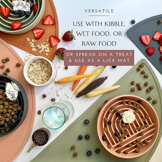 Should We Go? Slow Feeder for Dogs & Puppies, The Slowdown Bowl Silicone Slow Eating, Modern Lick Mat Design, Reduces Gulping, Fits 2 Cups, 7.5” Across x 1.5” Tall, Mealtime Challenge, Medium-Ocean