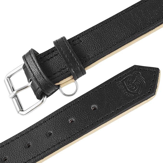 Riparo Leather Dog Collar - Heavy Duty Wide Dog Collar for Small, Medium, Large and Extra Large Dogs with Dog Tag Holder (L: 1.5" Wide for 17"-21" Neck, Black)