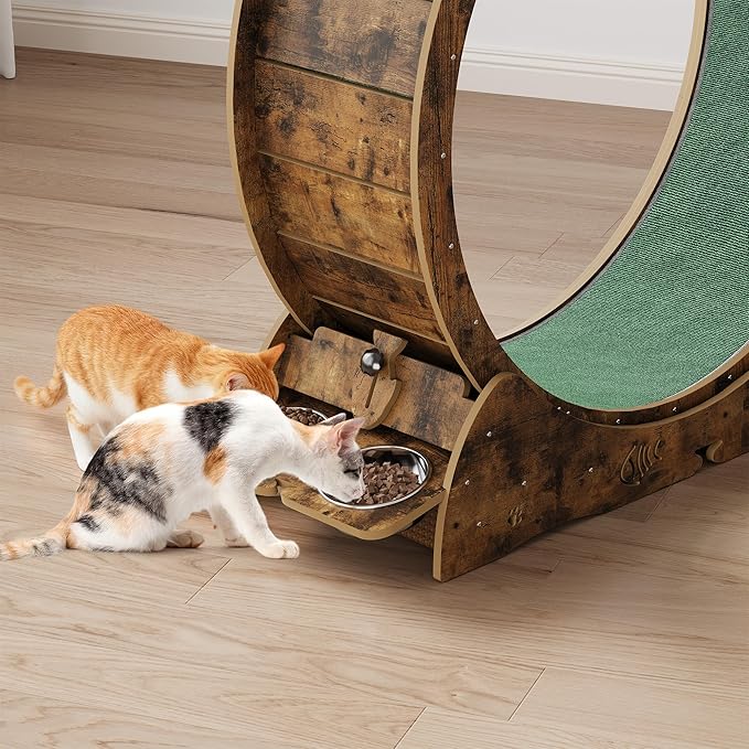 4-in-1 Cat Wheels for Indoor Cats, 40 Inch Large Cat Exercise Wheel, Running Treadmill Wheel with Carpeted Runway, Scratcher