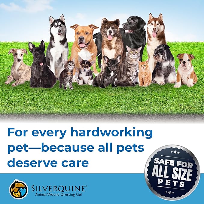 Dog Wound Care Gel - Hot Spot Gel Solution for Dogs and Cats - Safe If Licked, Odorless Silver Hydrogel Ointment for Pets Cuts, Burns, Scratches, Sores and Skin Concerns - 1.5 Oz