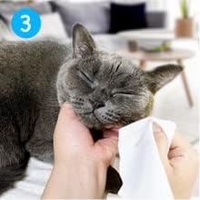 Mooncat Cat Acne Chin Treatment Oil & Cleaner - Feline Chin Acne Care for Blackheads, Kitty Acne, Cat Chin Acne Cleaner, Fast Acting, No-Rinse Ease (Wipe Off), Safe Lickable - 5 fl oz (150ml)