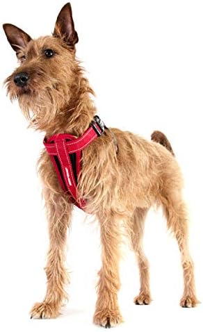 EzyDog Chest Plate No Pull Dog Harness – Escape Proof Harness with Reflective Stitching and Comfort Padding for Easy Walks, Training & Control - Car Restraint Included (X-Small, Teal)