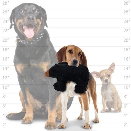TUFFY - World's Tuffest Soft Dog Toy - Zoo Bear - Squeakers - Multiple Layers. Made Durable, Strong & Tough. Interactive Play (Tug, Toss & Fetch). Machine Washable & Floats. (Junior 2 Pack)