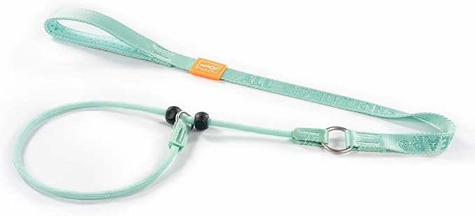 Howgo Dog Slip Lead Dog Leash, Training Lead, No-Pull Slip Leash and Collar, Heavy Duty & Durable Nylon, Padded Handle, for All Breeds (MintGreen, 3.6FT)