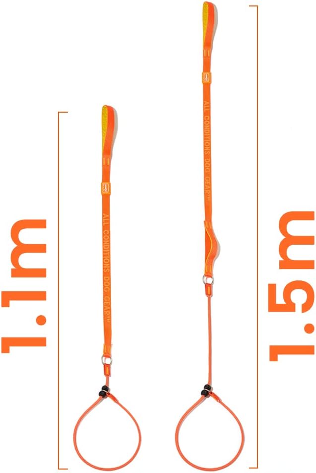 Howgo Dog Slip Lead Dog Leash, Training Lead, No-Pull Slip Leash and Collar, Heavy Duty & Durable Nylon, Padded Handle, for All Breeds (Green, 3.6FT)