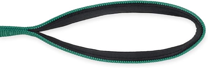Hyhug Nylon Short Dog Leash with Soft Padded Handle, Single Handle Leash, Durable Heavy Duty, Ideal for Anti-Pulling Dog Training,Perfect for Large Medium Small Breeds (18 Inches, Dark Green)