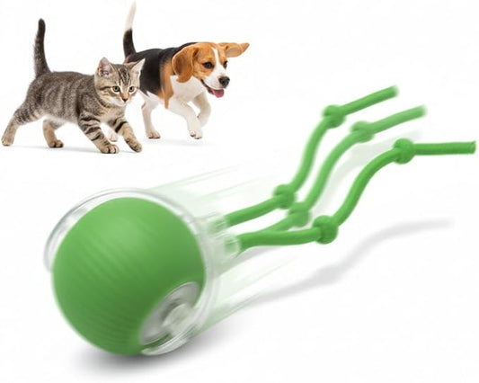 Interactive Cat Toys Ball for Cats - Upgrade Automatic Cat Toys for Indoor Cats, 3 Modes 2 Speed Moving Cat Ball (Green)