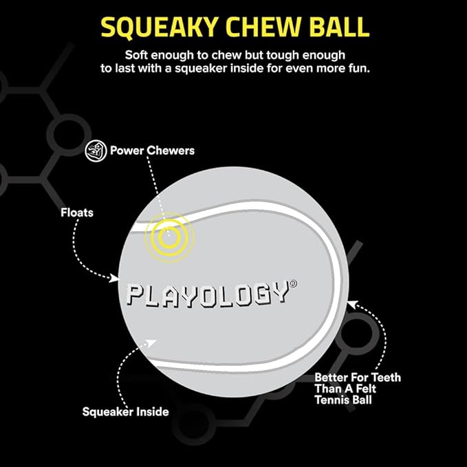 Playology Dog Toys | Squeaky Chew Ball - Bouncy Durable Floating Fetch Ball for Dogs | Jumbo Pumpkin Spice Scented Toy - Easy to Clean and Made from Non Toxic Materials