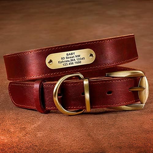 Didog Genuine Leather Dog Collars with Engraved Nameplate, Personalized Soft Leather Dog Collar with Custom ID Tag, Brown/Green/Red for Small Dogs (S,Red)