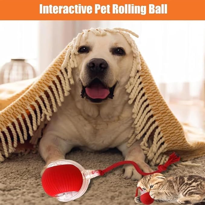 2 Packs New Electric Dog Ball Toy for Cat,360° Smart Automatic Interactive Rolling Dog Smart Pet Toy Ball,Gift for Kids