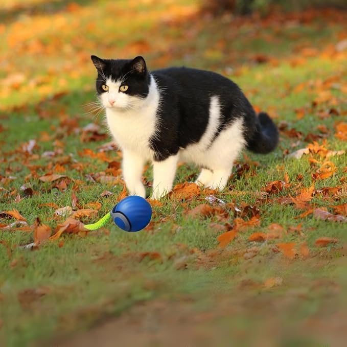 Christmas Stocking Stuffer Speedy 2.0 Tail Interactive Cat Toys for Indoor Cats, Automatic Cat Toy with Tail, Electric Rolling Ball on Carpet,Cat Toys for Bored Indoor Adult Cats (Blue)