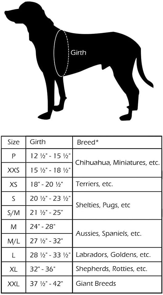 ComfortFlex Sport Dog Harness – No-Choke, Fully Padded, Non-Chafing Harness with Control Handle – Reflective, Lightweight, Adjustable for Active Dogs - XLarge, Raven Black