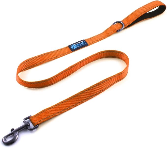 Max and Neo Small Dog Leash - Reflective Nylon, Donates to Dog Rescue (Orange, 4x5/8)