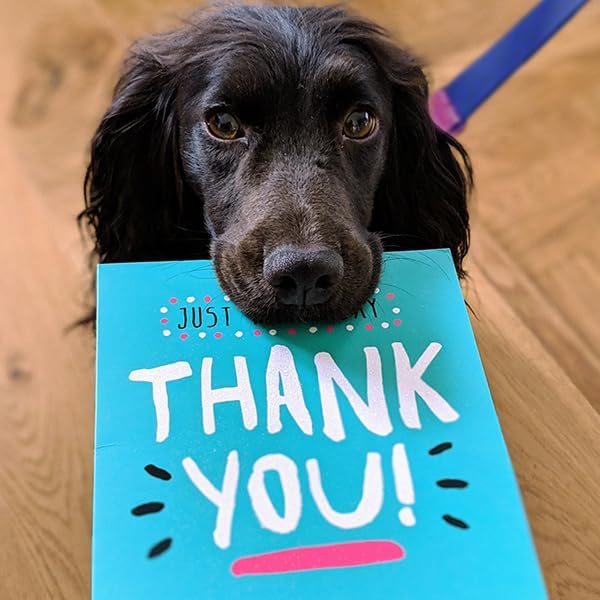 Jelly Colorful Dog Leash, Waterproof Training Leash for Walking, Hiking & Outdoor Activities, Non-Slip Grip, Anti-Odor Nylon Lead with Alloy O-Ring, Heavy Duty - M150, 5FT - Turquoise & Blue, M