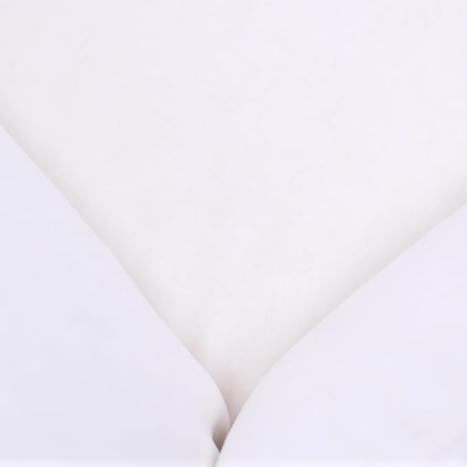 Pet Sofa Bed, Specially Designed for Small and Medium-Sized Dogs and Cats, is a Modern and Comfortable Pet Sofa That is Easy to Clean(White)