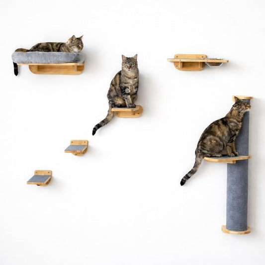Cat Wall Shelves – Cat Wall Climber with Scratching Post, Removable Bed, Climbing Steps, and Feeding Terrace with Glass Bowls, Waterproof Rubberwood Pet Furniture