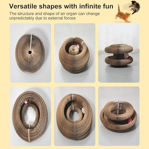 2PC Kitty Curls Cat Toy,Magic Organ Cat Toy,Cat Scratcher for Grinding Claw Cardboard Cat Toys,Interactive Scratch Pad with Toy Ball