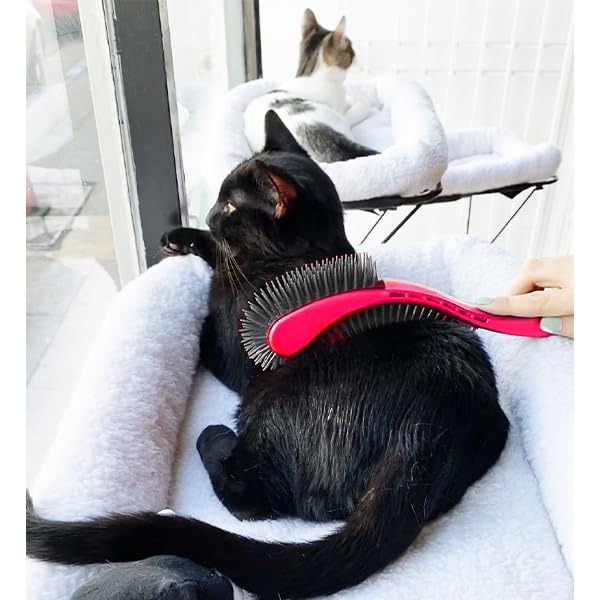 Cat Brush, Black. Designed for Comfort, Created for Results. This innovative grooming brush features multi contoured shapes that gently adapt to your cats body for a stress free grooming.