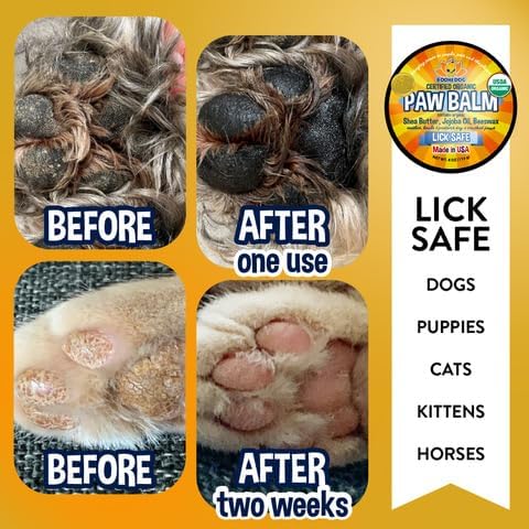 Bodhi Dog Paw Balm - Lick Safe - USDA Organic Paw Butter - Natural Paw Moisturizer Heals Dry, Cracked Paw Pads - Winter Protection - Pet Paw Balm for Dogs & Cats - Better than Paw Cream, Paw Wax (4oz)