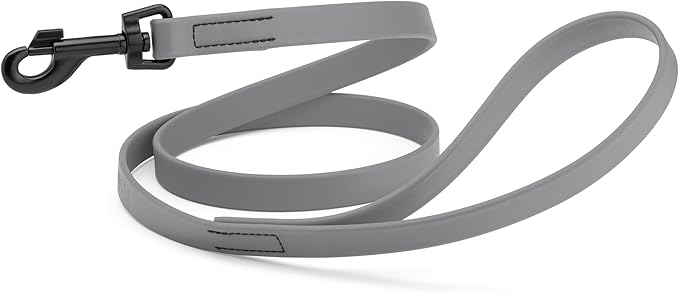 Dogline Biothane Waterproof Dog Leash Strong Coated Nylon Webbing with Black Hardware Odor-Proof Easy to Clean High Performance for Small or Large Dogs Made in USA 4 or 6 ft Lead, Battleship Gray