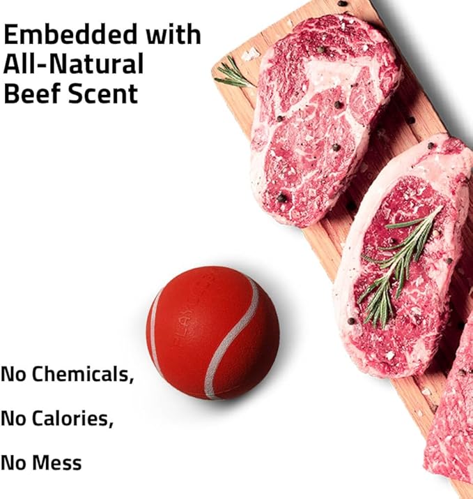 Playology Dog Toys | Squeaky Chew Ball - Bouncy Durable Floating Fetch Ball for Dogs, Value 2-Pack | Medium Beef Scented Toy - Easy to Clean and Made from Non Toxic Materials