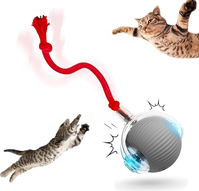 Interactive Rolling Cat Ball, Cat Rotating Toy, 360° Smart Rolling Ball Toy Electric Balls,Suitable for Floors, Carpets, Tiles, Living Rooms (Grey)