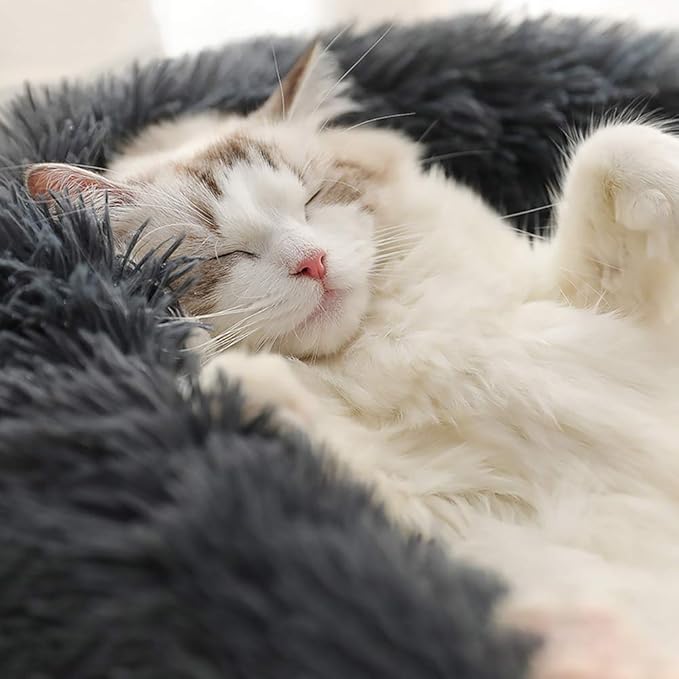 BODISEINT Faux Fur Dog Bed Cat Bed,Shag Round Anti-Anxiety Pet Calming Bed Doughnut Cuddler for Medium Large Puppy Dog Cat Kennel Cushion Self Warming Bed (28'' D x 8'' H, Dark Grey)