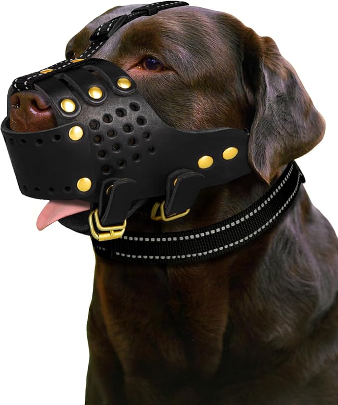 Dog Muzzle, Leather Basket Soft Muzzles Medium Large Breeds, Pitbull Dog Muzzle Amstaff Staffordshire Terrier, German Shepherd Dalmatian Doberman Adjustable (L)