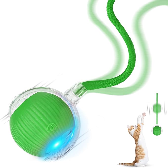 2025 New 1Pack Cat Ball Kitten Toys for Indoor Interactive Kitty Ball Toy Speedy Tail 360° Automatic Rolling(Green)