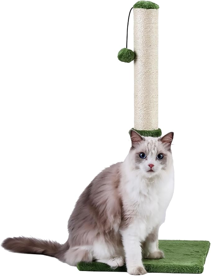 Dimaka Tall Cat Scratching Post, Claw Scratcher with Sisal Rope and Covered with Soft Smooth Plush, Vertical Scratch [Full Strectch] for Standard Size Cats (Green, 29 inches for All Cats)