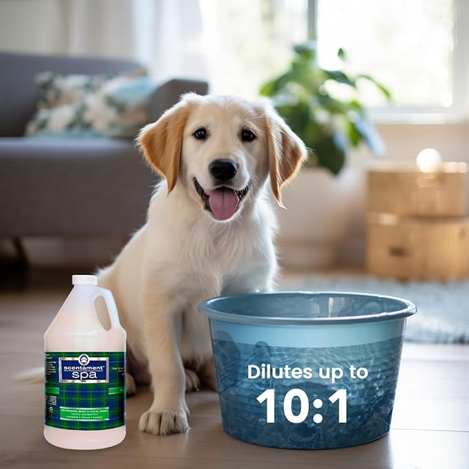 Best Shot Pet Scentament Spa Seasonal Facial & Body Wash, Berry Amaretto, 1 Gallon, Model: S55-Gallon