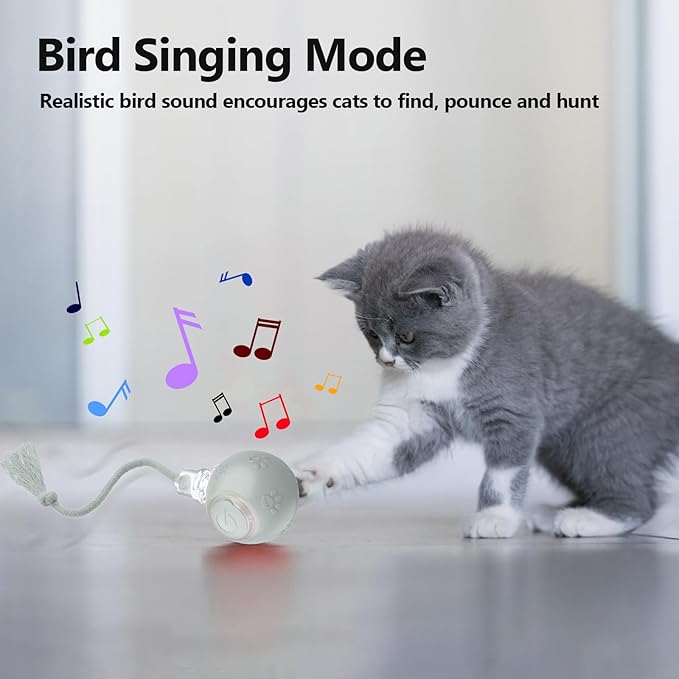 Interactive Cat Toys, Automatic Moving Cat Toys for Bored Indoor Adult Cats, Fast Rolling, Chirping & Motion-Activated Kitty Toys, Fun Gift for Cats with Speedy Tail 2.0, USB Rechargeable (Gray)