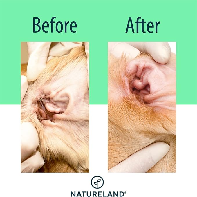[150 pcs Extra-Large] Natureland Dog Ear Wipes - Extra Large Pads [170%] - Otic Cleaning Wipes for Infections and Controlling Ear Infections and Ear Odor in Pets