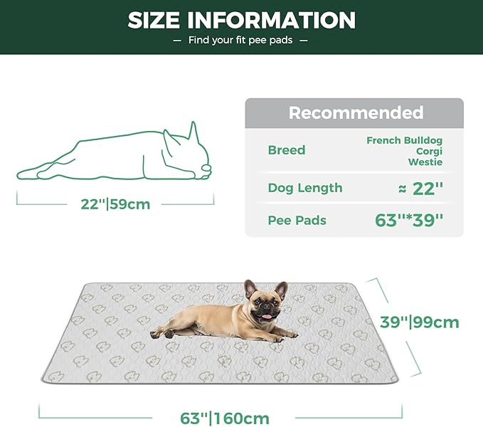 FXW Washable Pee Pads for Dogs, Puppy Pads with Super Absorbent, Specifically Designed for FXW Rollick/Homeplus 24inch 6 Panels Dog Playpen, 39" x 63" Rectangle, Khaki, 1 Pack