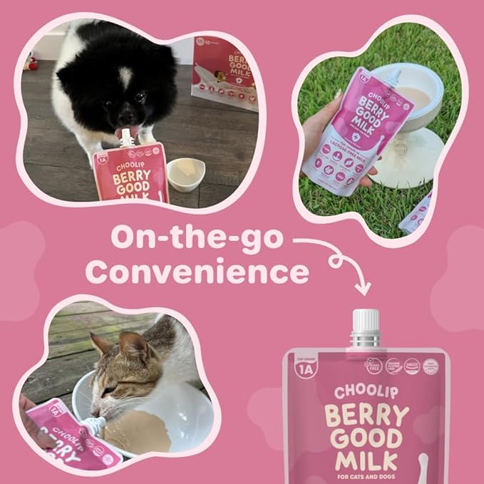 Choolip Berry Good Milk – 10-Pack Lactose-Free Vitamin Milk for Cats & Dogs | Vet-Formulated Pet Drink Supporting Urinary, Joint & Digestive Health | Grain-Free, Ready to Serve