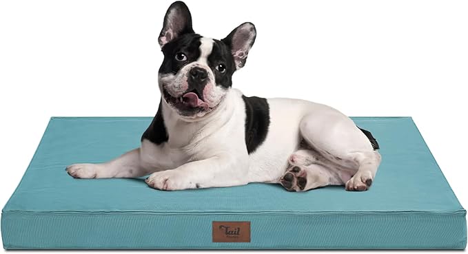 Outdoor Orthopedic Dog Bed for Medium Dogs & Cats, Waterproof Flat Pet Mat with Egg Crate Foam & Washable Removable Oxford Cover, 30x20 Inch, Light Blue