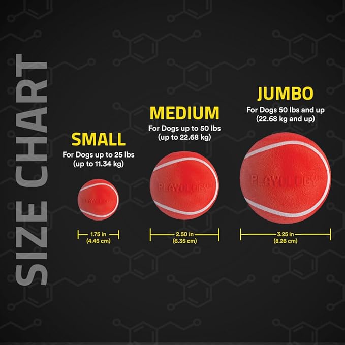 Playology Dog Toys | Squeaky Chew Ball - Bouncy Durable Floating Fetch Ball for Dogs, Value 2-Pack | Medium Beef Scented Toy - Easy to Clean and Made from Non Toxic Materials