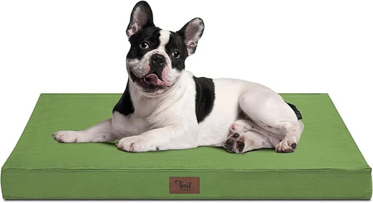 Outdoor Orthopedic Dog Bed for Medium Dogs & Cats, Waterproof Flat Pet Mat with Egg Crate Foam & Washable Removable Oxford Cover, 30x20 Inch, Light Green