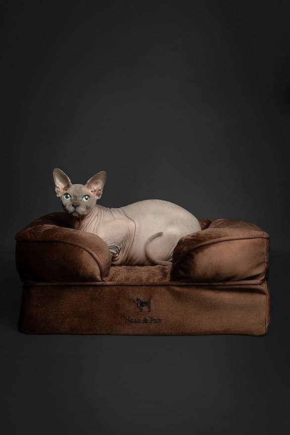 NOAH & PAW Small Dog Bed, 20x15x8 Inch, Cat Bed for Indoor Cats, Orthopedic Eggshell Memory Foam Infused with Cooling Gel, Waterproof Inner Cover Machine Washable (Velvet Collection)