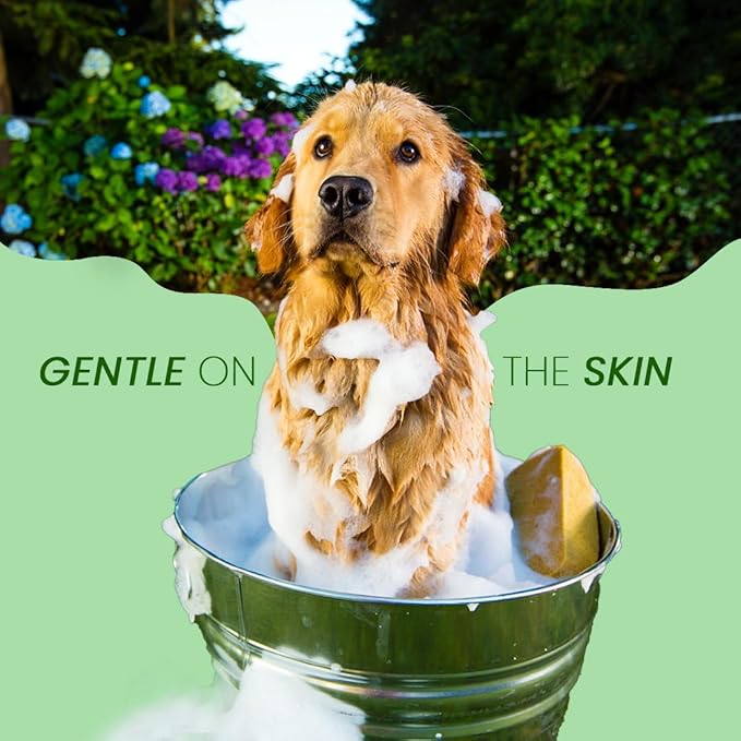 Best Shot Pet Scentament Spa Seasonal Facial & Body Wash, Berry Amaretto, 1 Gallon, Model: S55-Gallon