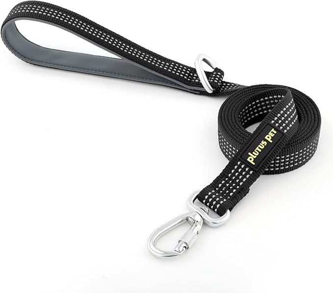 Plutus Pet Heavy Duty Dog Leash with Lockable Aluminum Carabiner, 4/6 Feet Long, Double-Sided Reflective Nylon, Padded Handle, for Puppy, Small, Medium and Large Dogs (Black, 1" x 4')