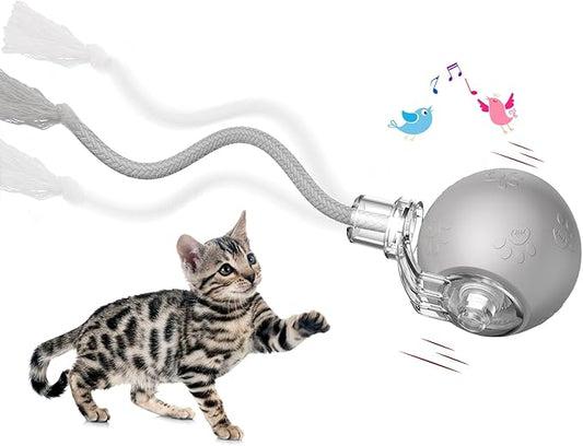 Interactive Cat Toys, Automatic Moving Cat Toys for Bored Indoor Adult Cats, Fast Rolling, Chirping & Motion-Activated Kitty Toys, Fun Gift for Cats with Speedy Tail 2.0, USB Rechargeable (Gray)