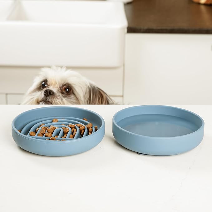 Should We Go? Slow Feeder for Dogs & Cats, The Slowdown Bowl Silicone Slow Eating Mealtime Solution with Modern Lick Mat Design, Reduces Gulping, Fits 1 Cup, 6” Across x 1.25” Tall, Small-Charcoal